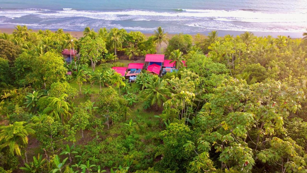 Tortuga Bay Eco Hotel El Valle  外观 照片