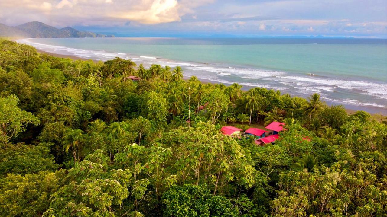 Tortuga Bay Eco Hotel El Valle  外观 照片