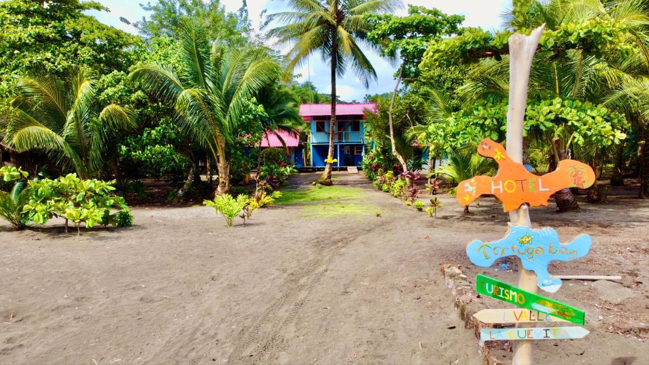 Tortuga Bay Eco Hotel El Valle  外观 照片