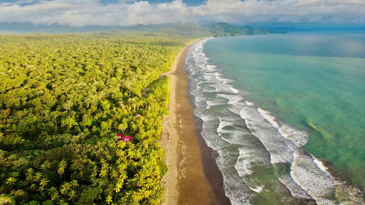 Tortuga Bay Eco Hotel El Valle  外观 照片