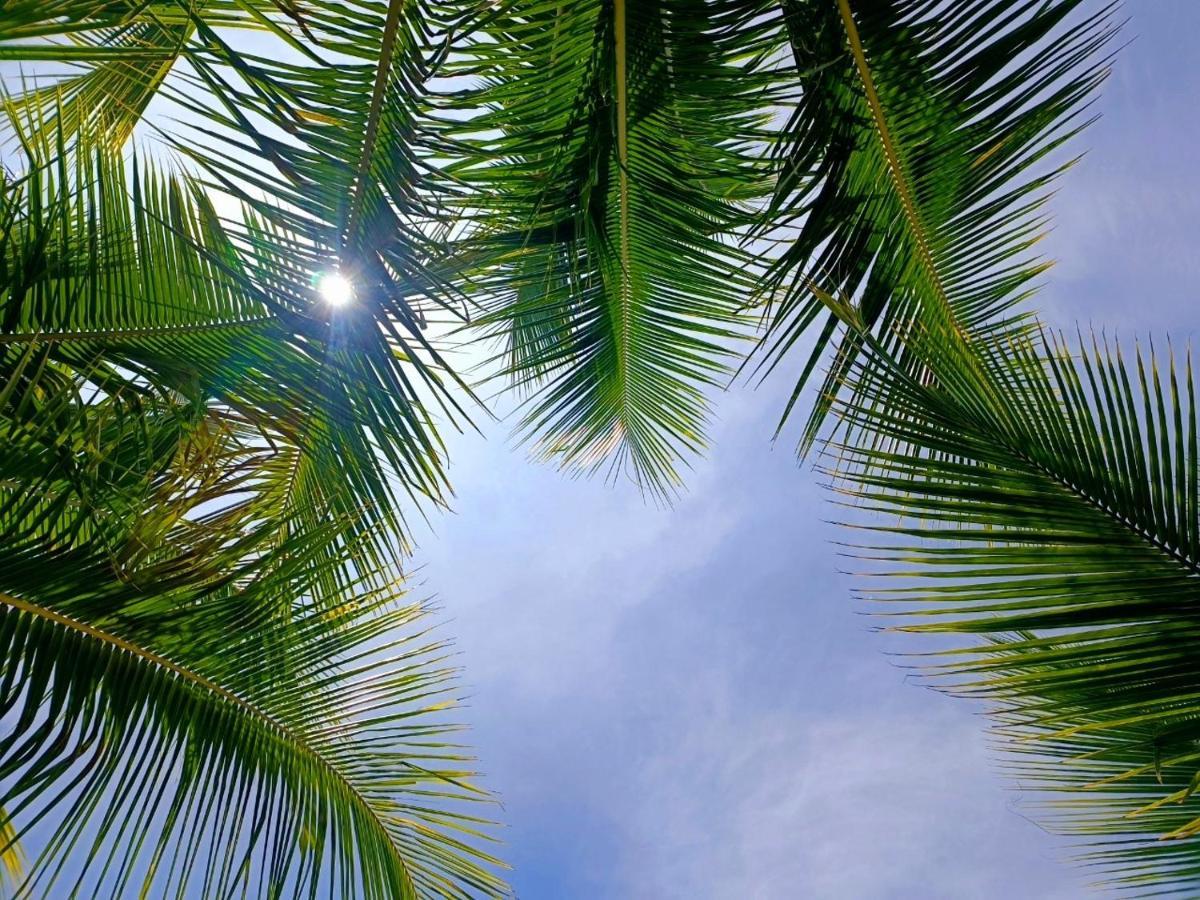 Tortuga Bay Eco Hotel El Valle  外观 照片