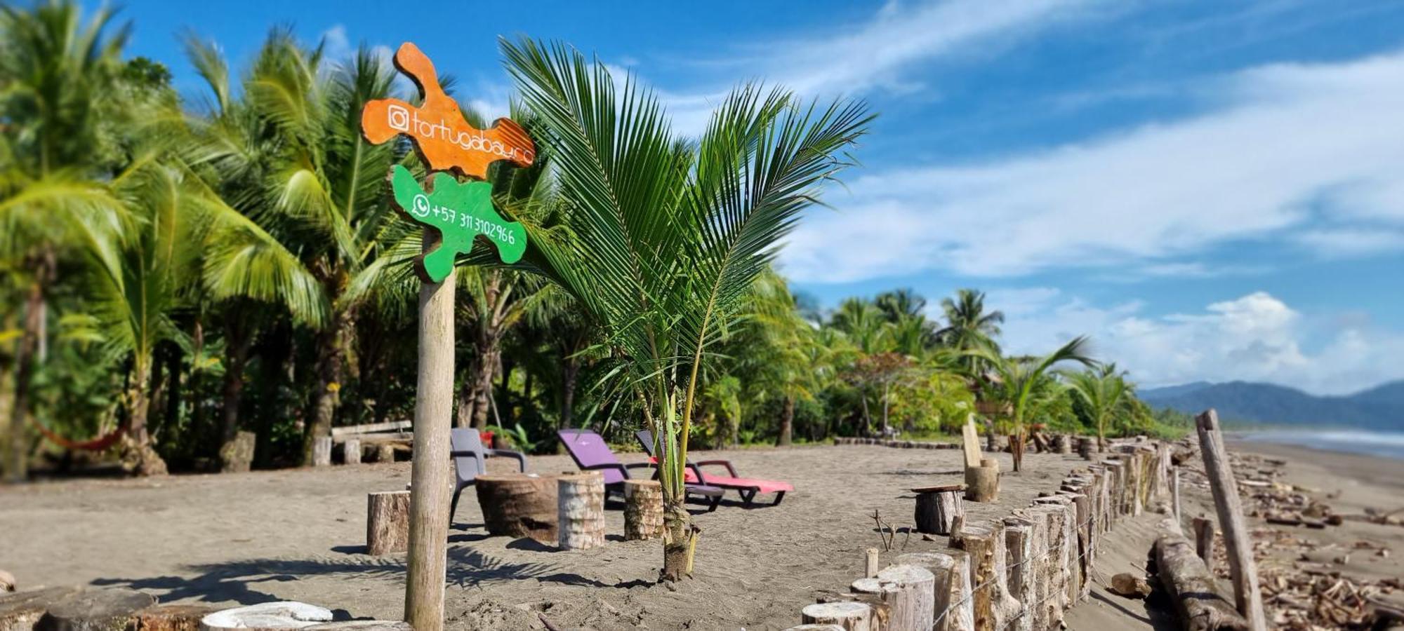 Tortuga Bay Eco Hotel El Valle  外观 照片
