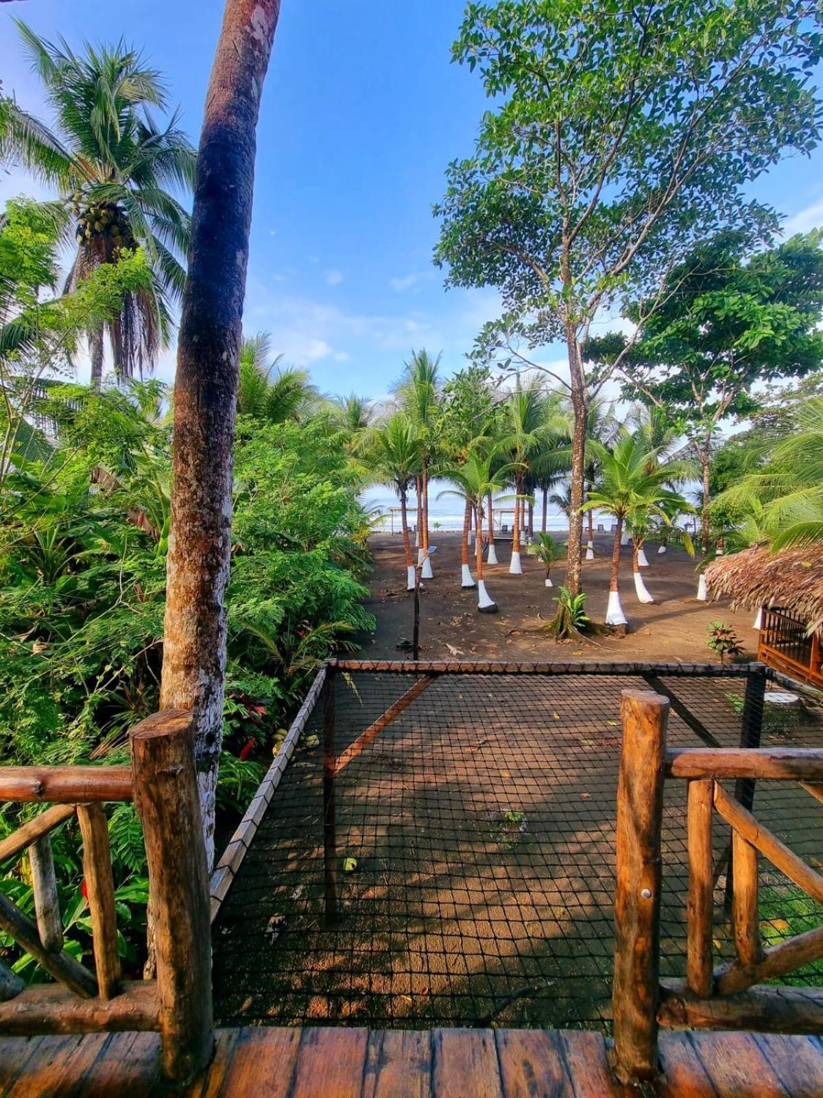 Tortuga Bay Eco Hotel El Valle  客房 照片
