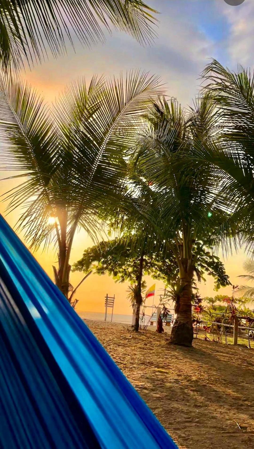 Tortuga Bay Eco Hotel El Valle  外观 照片
