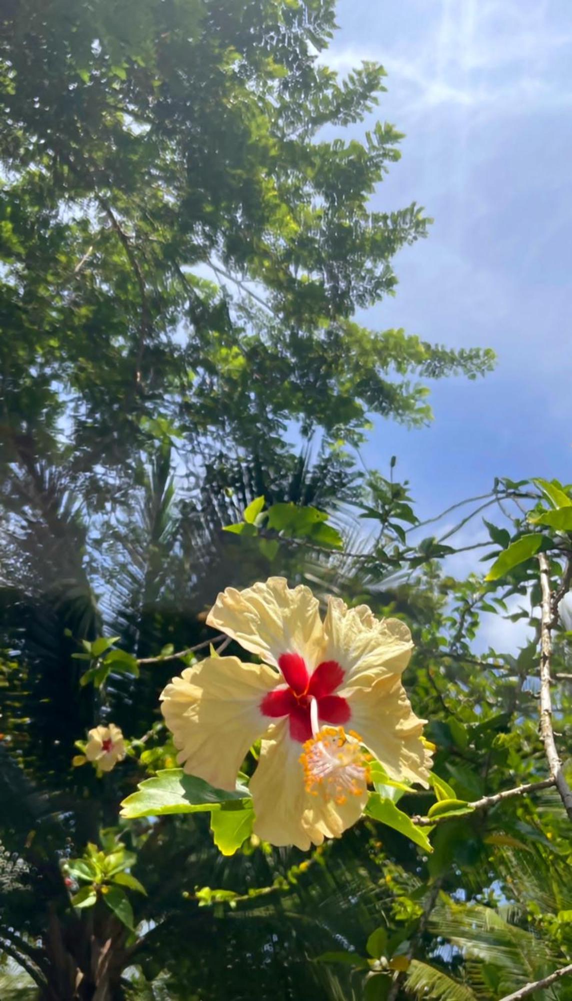 Tortuga Bay Eco Hotel El Valle  外观 照片