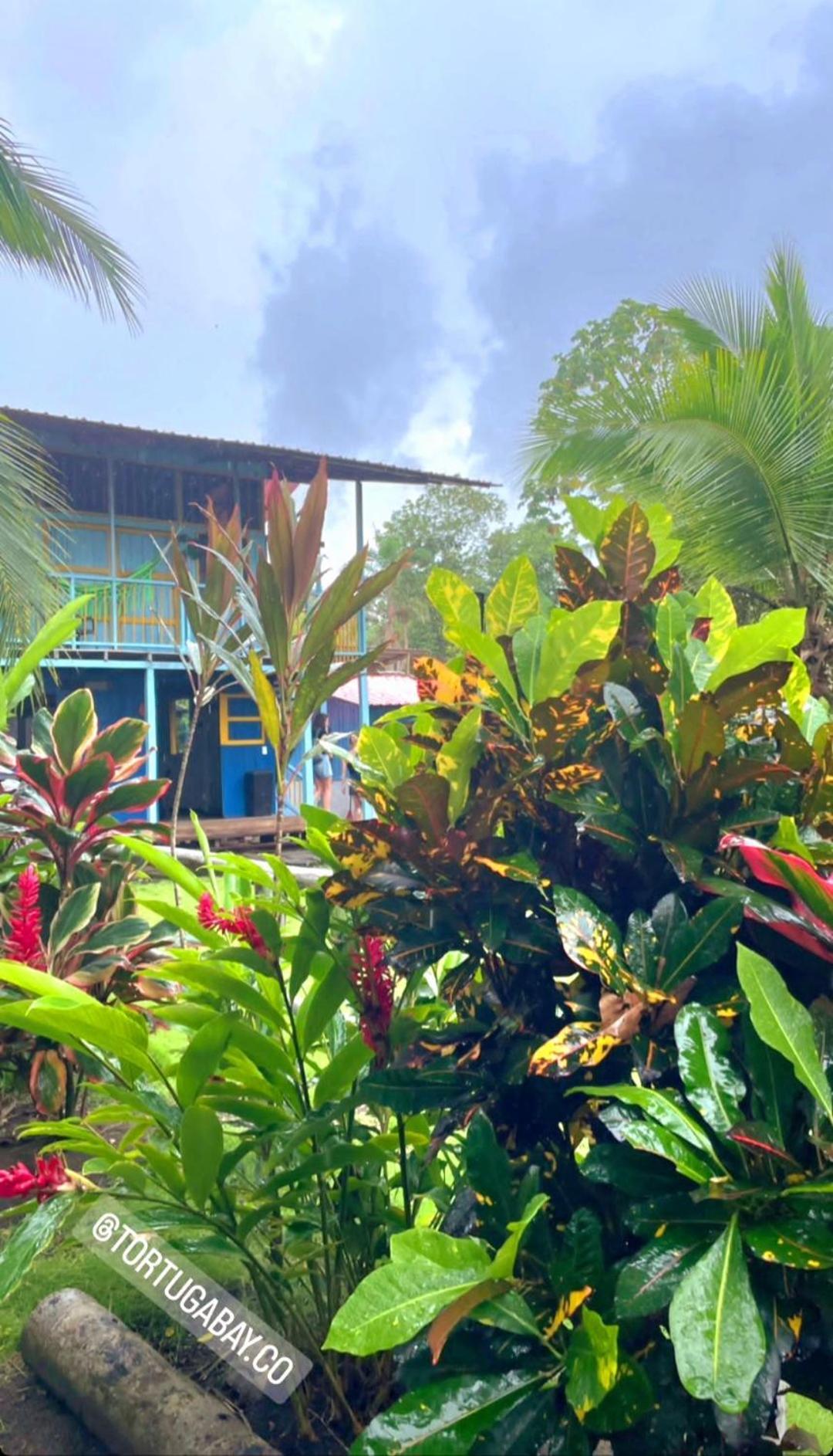 Tortuga Bay Eco Hotel El Valle  外观 照片