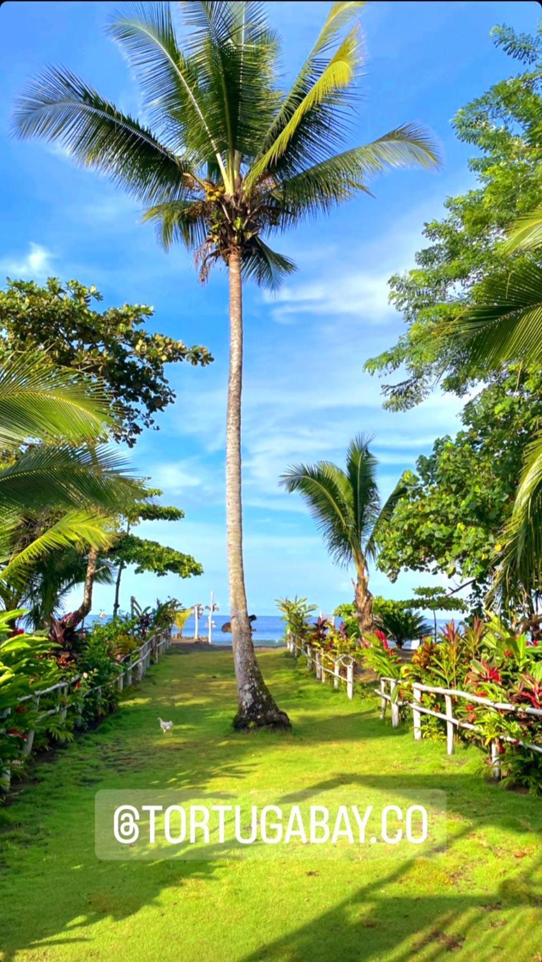 Tortuga Bay Eco Hotel El Valle  外观 照片
