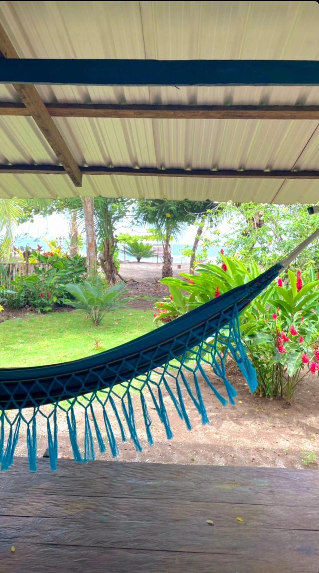 Tortuga Bay Eco Hotel El Valle  外观 照片