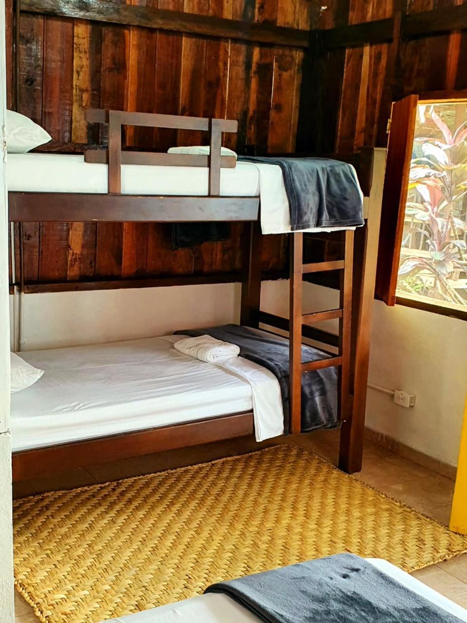 Tortuga Bay Eco Hotel El Valle  客房 照片